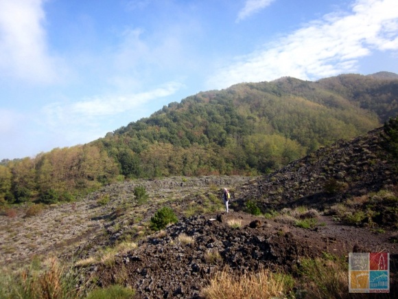 Visita guidata: Vesuvio, passeggiando sul fiume di lava Img_3747